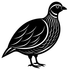 Obraz premium vector illustration of an eagle