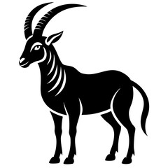 black goat isolated on white