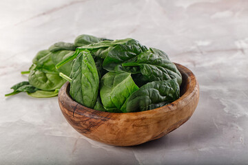 Raw green baby spinach plant