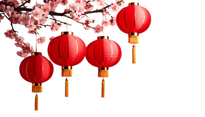 Chinese New Year lanterns and decorations with beautiful flowers in pink and red tones on a white background