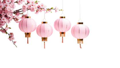 Chinese New Year lanterns and decorations with beautiful flowers in pink and red tones on a white background