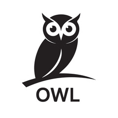 owl on white