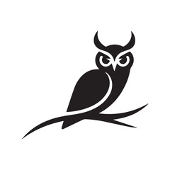 owl on white background