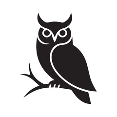 owl on white background