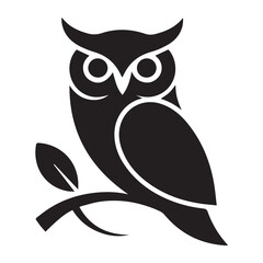 owl on white background