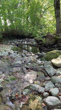 Rivi&egrave;re calme