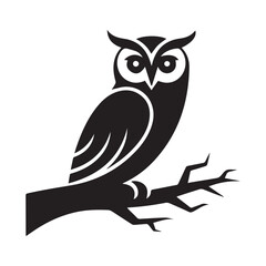 owl sitting on branch