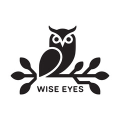 owl on white background