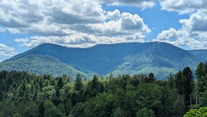 Scenic Mountain Vista with Lush Green Forest and Dramatic Cloudscape, Great Smoky Mountains