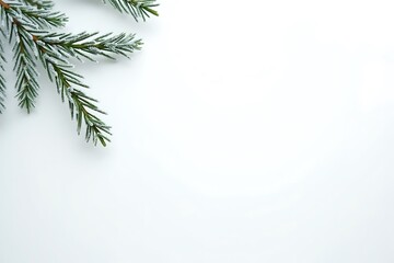 Obraz premium Top Left Pine Corner