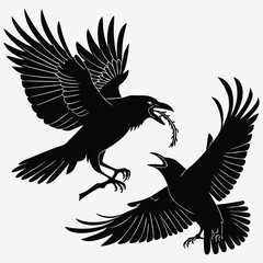 Two crows fighting mid-flight over a worm image silhouette design vector art and illustration