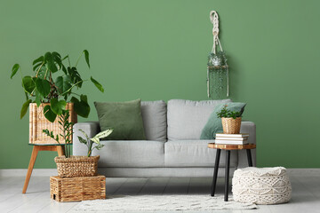 Interior of living room with sofa, wicker baskets and green plants