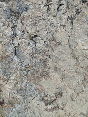 rough rock texture background, backdrop
