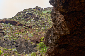 Red volcanic cliff with cacti