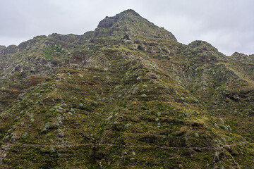 Volcanic aforested mountains in Anaga, Tenerife