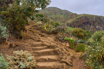 Volcanic trail stairs in Anaga