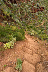 Eroded volcanic trail in Anaga