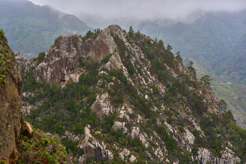 Roque de los Pinos landscape