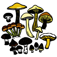 mushrooms