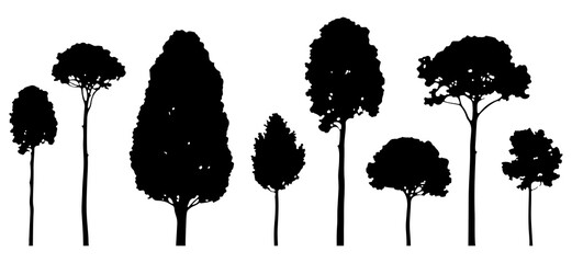 Tree Silhouette Vector Illustration