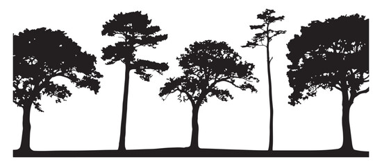 Tree Silhouette Vector Illustration