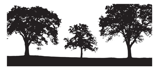 Tree Silhouette Vector Illustration