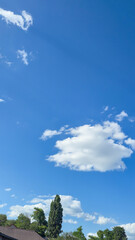 Blue sky with clouds flying birds and green branches Summer nature. White clouds