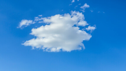 Blue sky with clouds flying birds and green branches Summer nature. White clouds