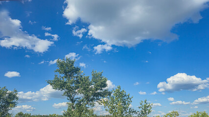 Blue sky with clouds flying birds and green branches Summer nature. White clouds