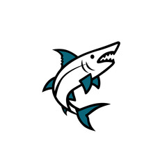 barracuda vector illustration