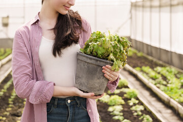 Young female student with long hair holding potted vegetable while standing in greenhouse during...