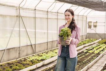 Obraz premium Multiracial teenage girl proudly holding green leafy vegetable pot in school greenhouse reflecting practical farming education organic gardening lessons and sustainable vegetable cultivation