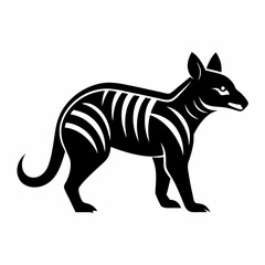 Obraz premium zebra vector illustration