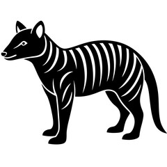 Obraz premium zebra vector illustration