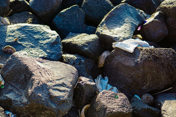 Obraz premium Indonesian Nature: Coastal and Forest Landscape