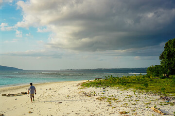 Indonesian Nature: Coastal and Forest Landscape