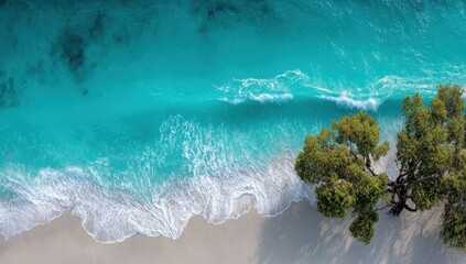 Turquoise waves lapping a white sand beach, with a lone tropical tree