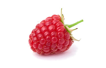 raspberry isolated on white background