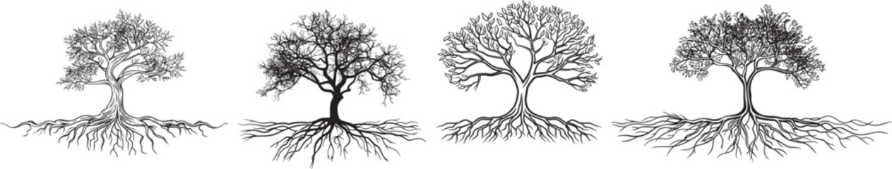 Tree Roots Vector Illustration Set Isolated on White Background.