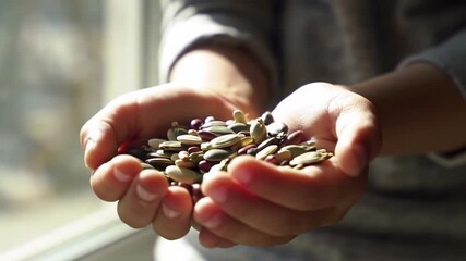 Hands holding assorted seeds close up view natural light healthy eating concept