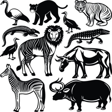 Different types of wild Vector animals on white Background