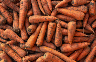 Top view of fresh raw carrots. Orange vegetable background with natural texture. Healthy organic food concept