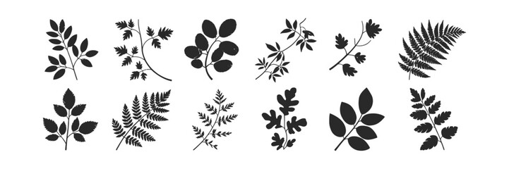 Naklejka premium Botanical Foliage Silhouette. Seamless Branches Pattern, Leaves, Herbs, Plant elements