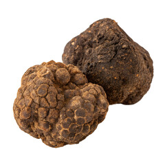 
brown truffle mushroom isolated on transparent background
