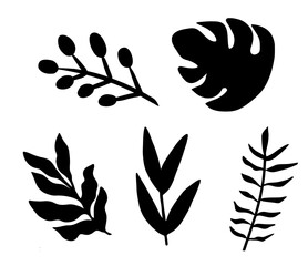 Vector black silhouettes of floral elements, vector botany floral design
