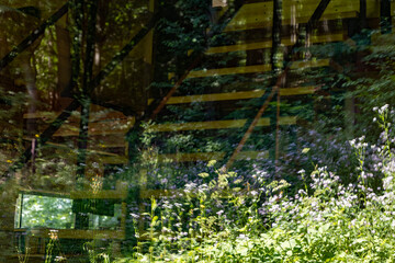 Reflection of forest flowers and trees in large window with visible wooden interior elements of a modern cabin