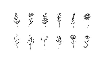 Open Petal Stems. Flowers with open petal forms and curved stems drawn with soft and clean black line detailing.