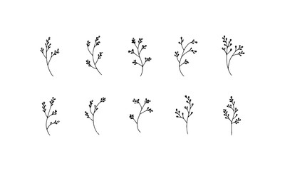 Fine Leaves Collection. A subtle linear set of delicate twigs with small, clean leaves for modern natural-themed projects.