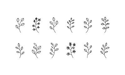 Delicate Botanical Sprigs Set. A charming group of delicate floral sprigs in fine line style for natural and minimalist artwork.