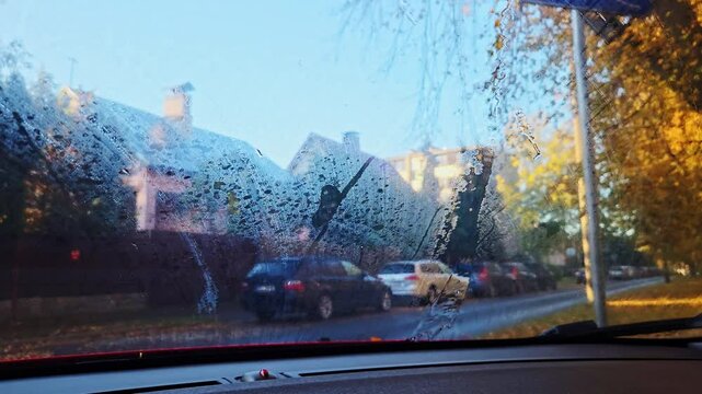 Wipers sweep through dew-covered glass as golden autumn leaves cling tight